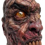 The Walking Dead Graphic Novel 90th Edition Kindle by Image Skybound-0