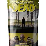 The Walking Dead Graphic Novel by Image - Skybound-0