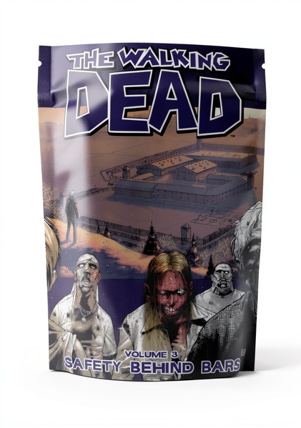The Walking Dead Kindle Graphic Novel by Image Skybound Zombie Comic-0